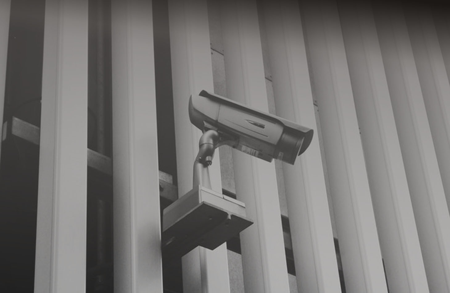 IP cameras